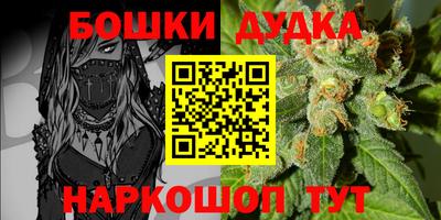 PSILOCYBIN Гай
