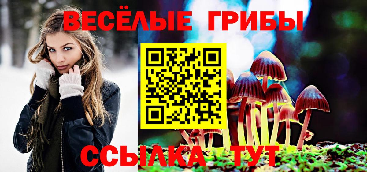 Галлюциногенные грибы MAGIC MUSHROOMS Будённовск