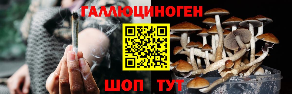Псилоцибиновые грибы Psilocybe  Вход с VPN  Будённовск 