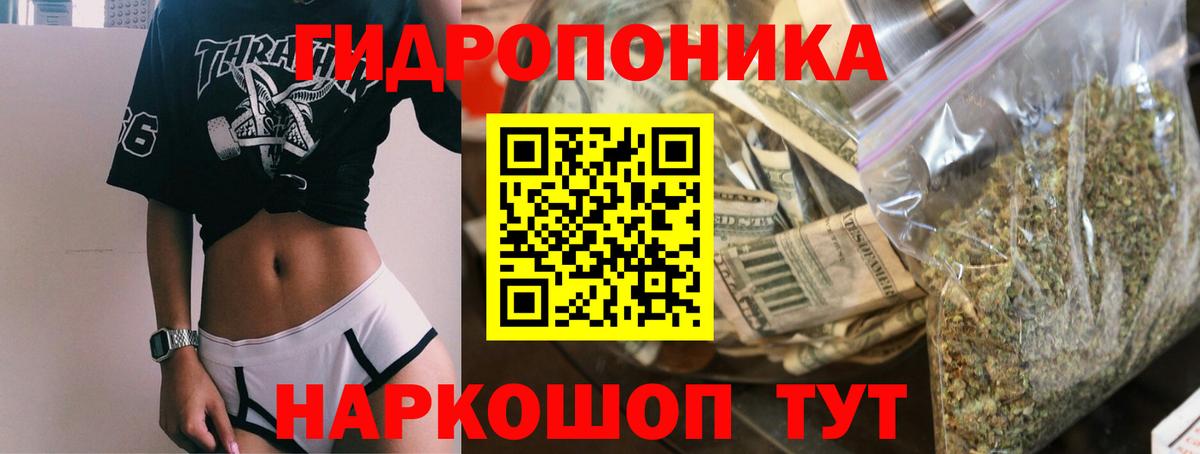Будённовск  Шишки марихуана OG Kush  Шишки марихуана семена  Вход с VPN  Каннабис Ganja 